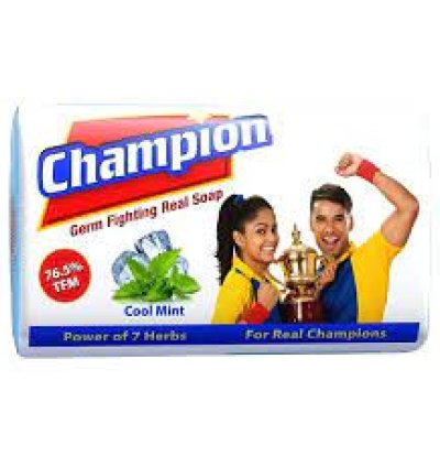 Champion Germ Fighting Real Soap & Cool Mint